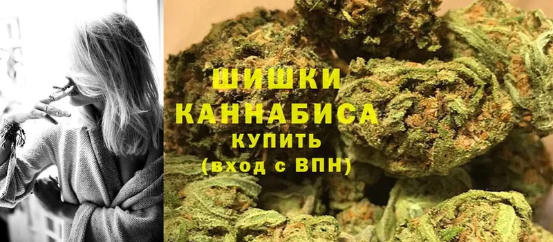 Каннабис OG Kush  Камызяк 